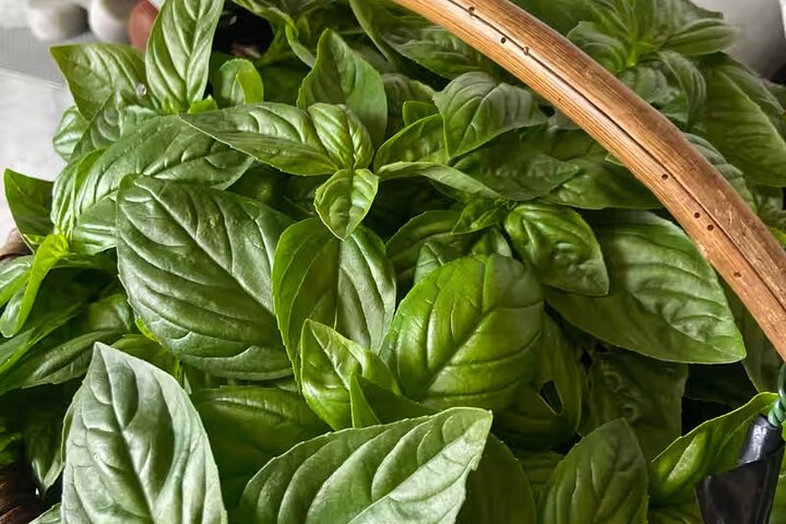 Cinque Terre: Pesto Class with Focaccia Tasting in Manarola