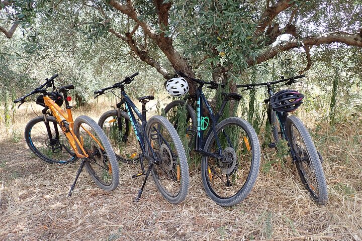 Bike and Wine Korcula Adventure - Half Day Guided Bike Tour