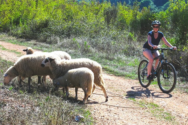 Bike and Wine Korcula Adventure - Half Day Guided Bike Tour