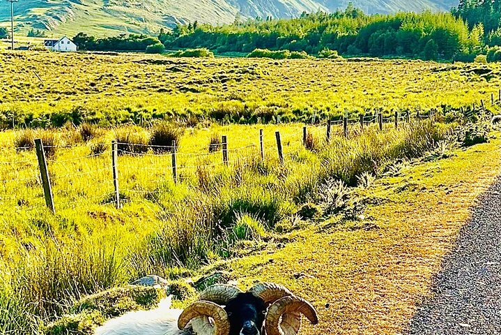 E-Bike Cycle Greenway - Westport To Achill Island Atlantic coast