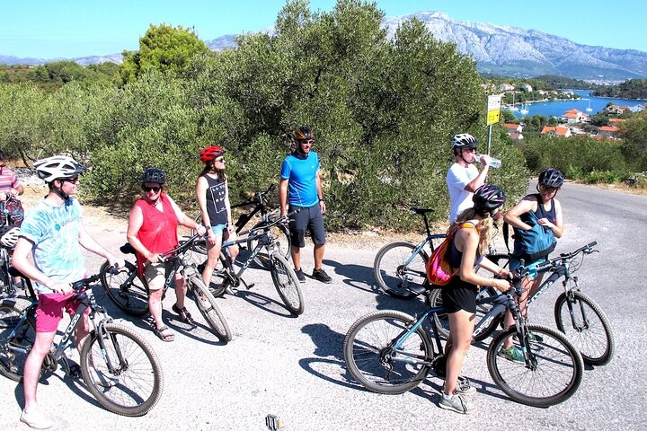Bike and Wine Korcula Adventure - Half Day Guided Bike Tour