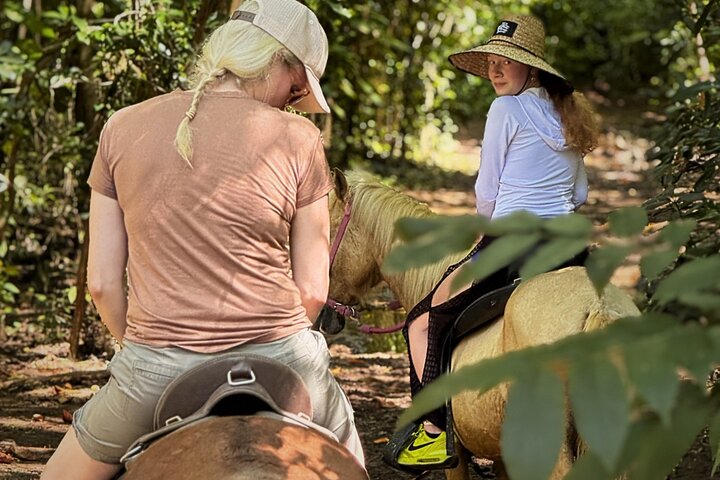 Horseback Ride by the Beach in Aguadilla, Puerto Rico