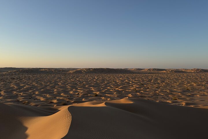 Sunset desert safari tour (private tour)