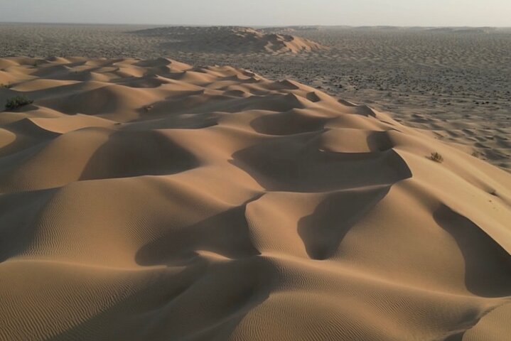 Sunset desert safari tour (private tour)