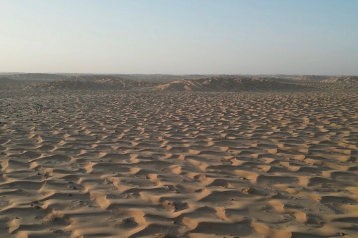 Sunset desert safari tour (private tour)
