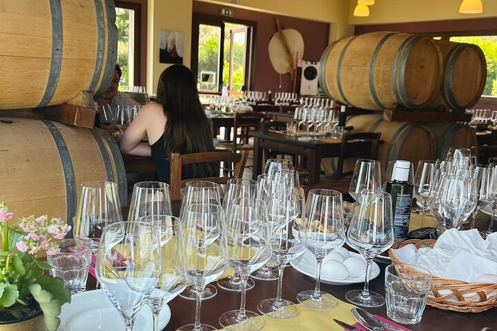Volcano Etna Tour Wine Tasting Lunch in the Cellar Transfer