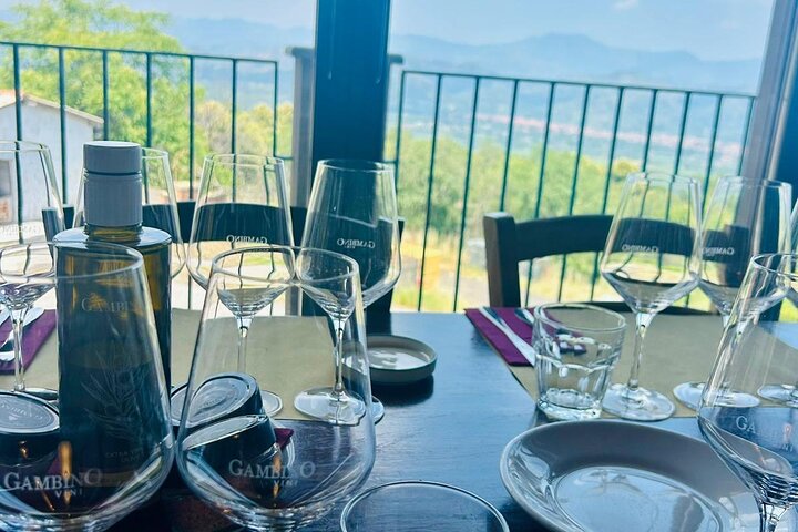 Volcano Etna Tour Wine Tasting Lunch in the Cellar Transfer