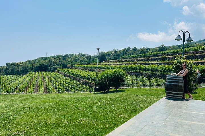 Volcano Etna Tour Wine Tasting Lunch in the Cellar Transfer