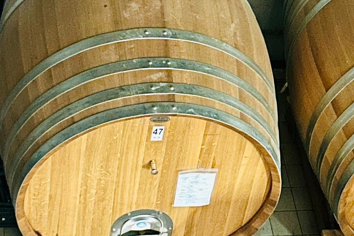 Volcano Etna Tour Wine Tasting Lunch in the Cellar Transfer