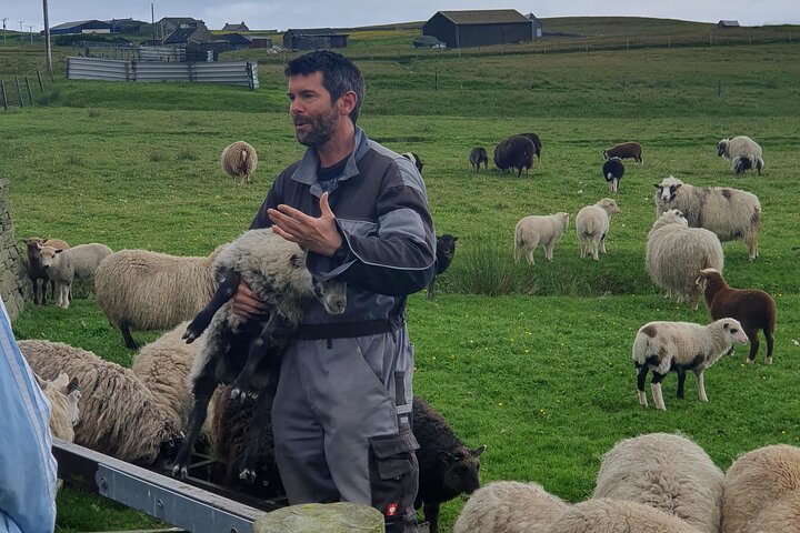 Bressay Explorer Crofting and Island Life Tour