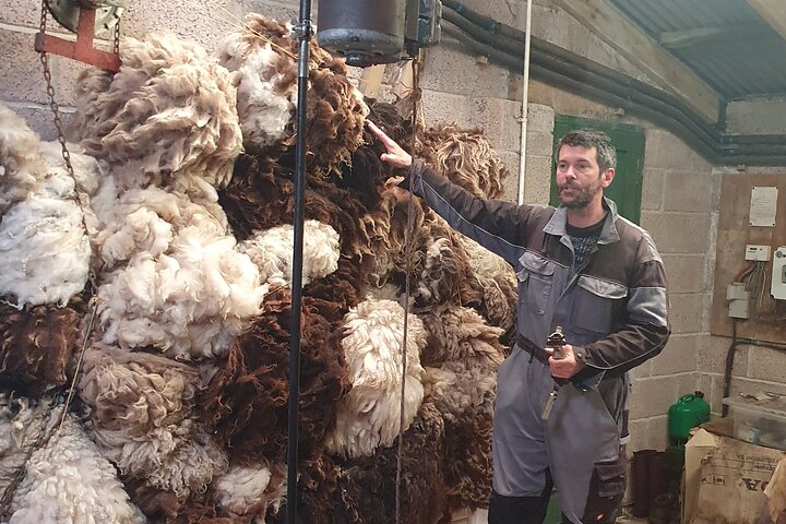Bressay Explorer Crofting and Island Life Tour