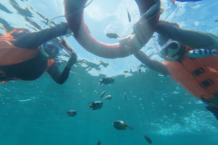 Mantanani Island Snorkeling from Kota Kinabalu