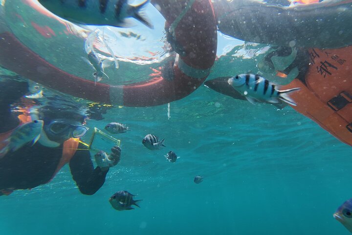 Mantanani Island Snorkeling from Kota Kinabalu