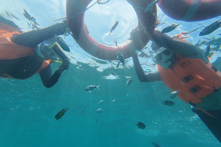 Mantanani Island Snorkeling from Kota Kinabalu