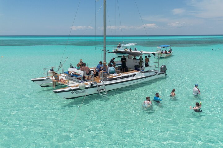 4 Hour Cozumel Turtle Sanctuary Experience on a Luxury Catamarán