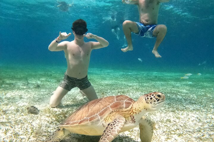 4 Hour Cozumel Turtle Sanctuary Experience on a Luxury Catamarán