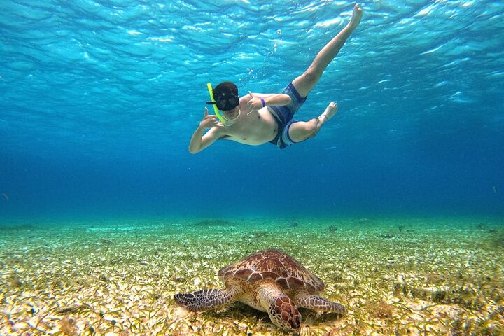 4 Hour Cozumel Turtle Sanctuary Experience on a Luxury Catamarán
