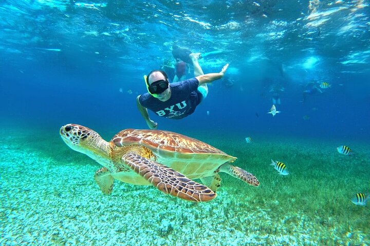 4 Hour Cozumel Turtle Sanctuary Experience on a Luxury Catamarán