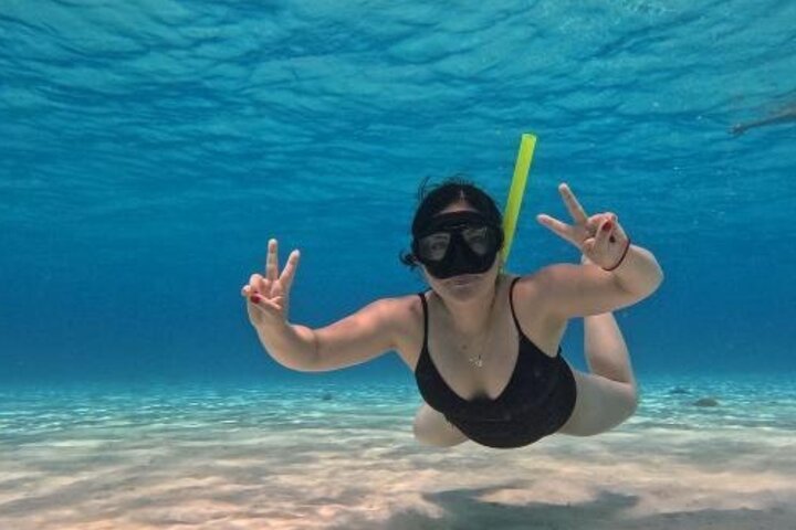 4 Hour Cozumel Turtle Sanctuary Experience on a Luxury Catamarán
