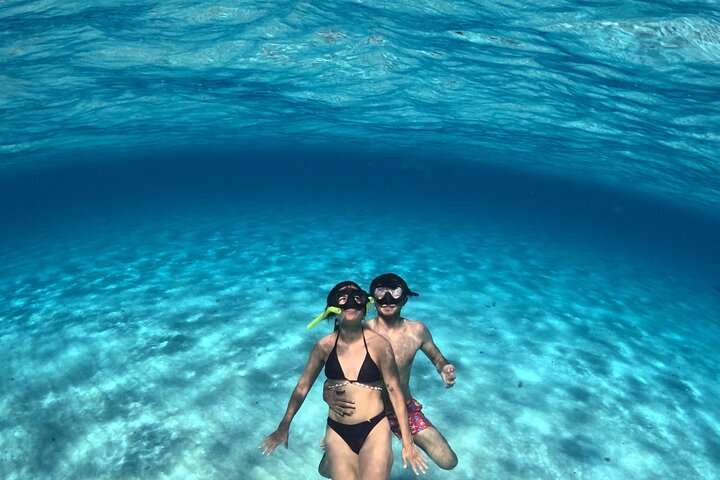 4 Hour Cozumel Turtle Sanctuary Experience on a Luxury Catamarán