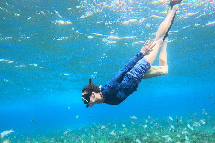 4 Hour Cozumel Turtle Sanctuary Experience on a Luxury Catamarán