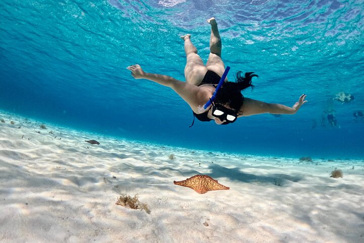 4 Hour Cozumel Turtle Sanctuary Experience on a Luxury Catamarán