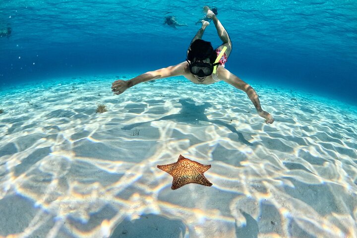 4 Hour Cozumel Turtle Sanctuary Experience on a Luxury Catamarán