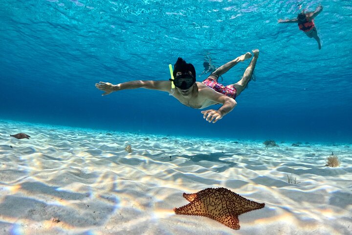 4 Hour Cozumel Turtle Sanctuary Experience on a Luxury Catamarán