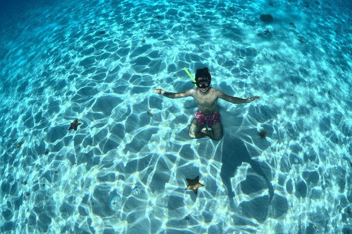 4 Hour Cozumel Turtle Sanctuary Experience on a Luxury Catamarán