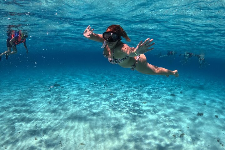 4 Hour Cozumel Turtle Sanctuary Experience on a Luxury Catamarán