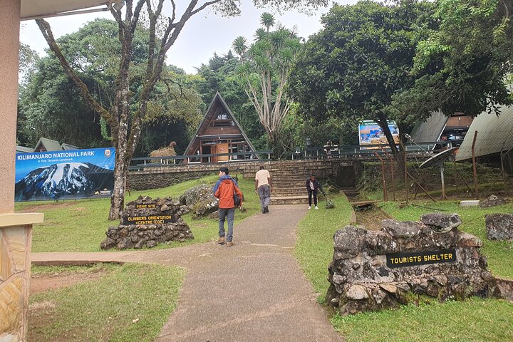 1 - Day Kilimanjaro Hike Challenge