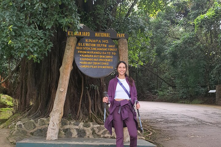 1 - Day Kilimanjaro Hike Challenge