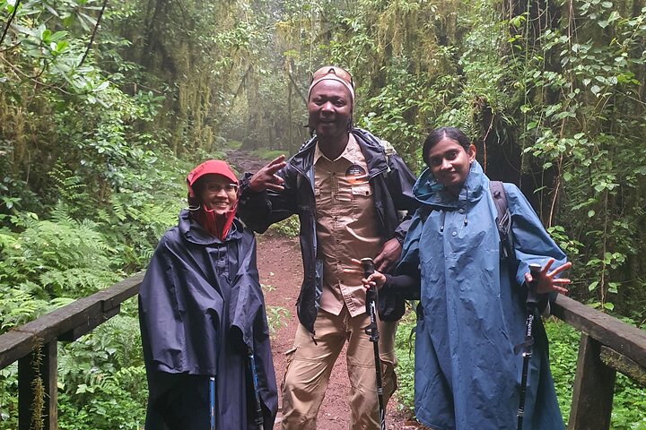 1 - Day Kilimanjaro Hike Challenge