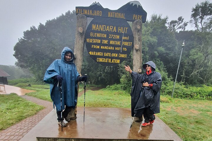 1 - Day Kilimanjaro Hike Challenge