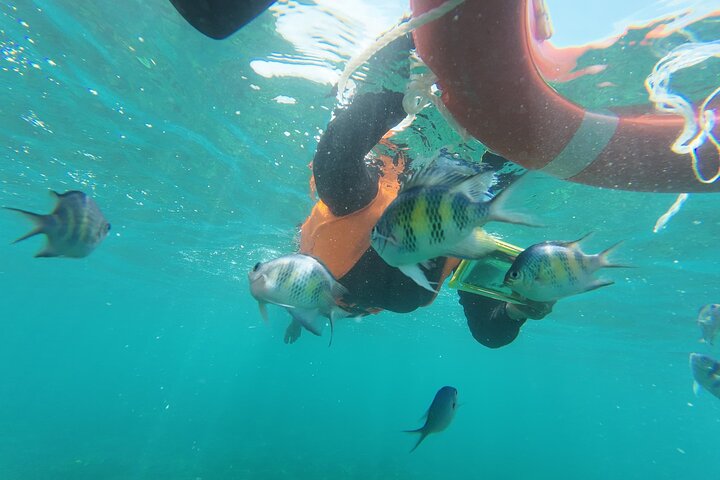 Mantanani Island Snorkeling from Kota Kinabalu
