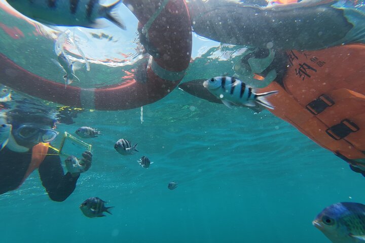 Mantanani Island Snorkeling from Kota Kinabalu