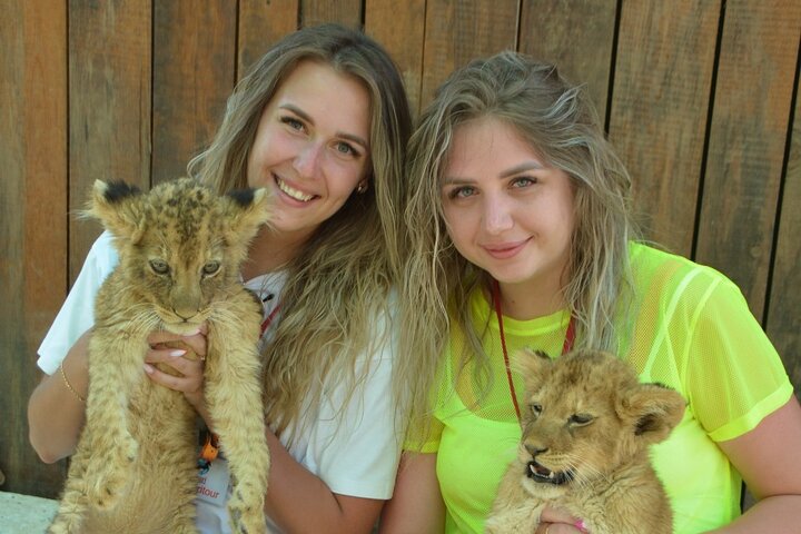 Lion Safari and Green Canyon Splash Feast with Lunch
