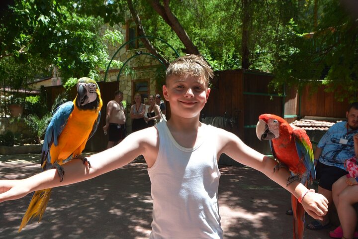 Lion Safari and Green Canyon Splash Feast with Lunch