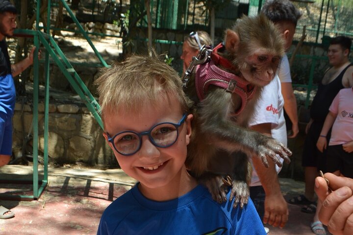 Lion Safari and Green Canyon Splash Feast with Lunch