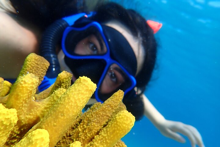 Marine Adventure Cruise Snorkeling and Swimming in Lefkada