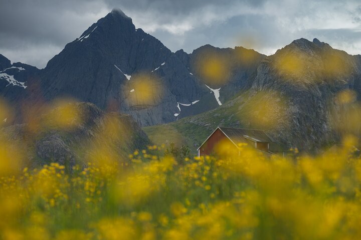 Private Lofoten Islands Sightseeing Tour with Local Guide
