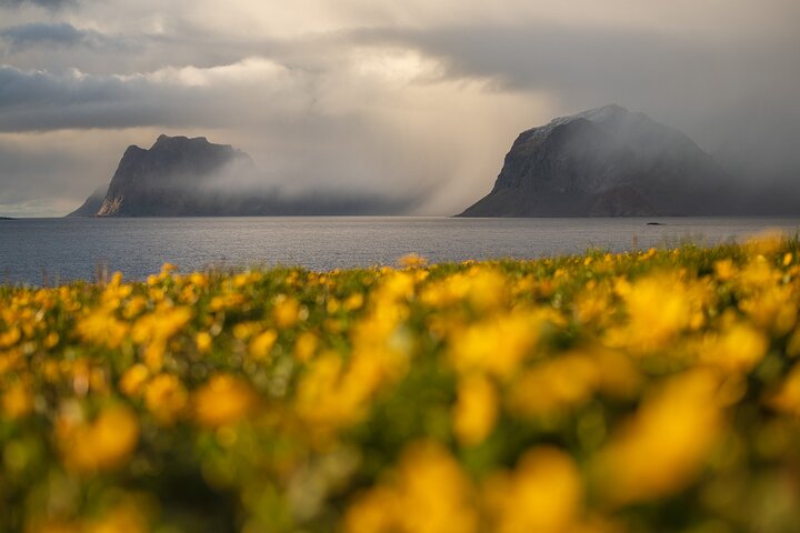 Private Lofoten Islands Sightseeing Tour with Local Guide
