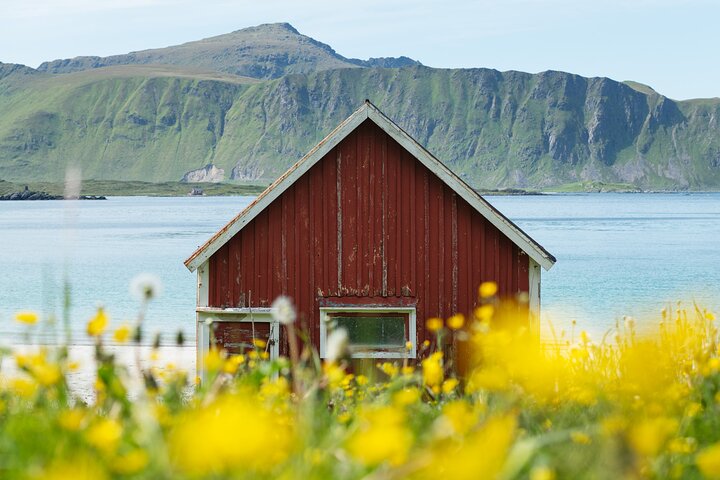 Private Lofoten Islands Sightseeing Tour with Local Guide