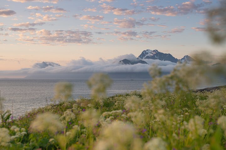 Private Lofoten Islands Sightseeing Tour with Local Guide
