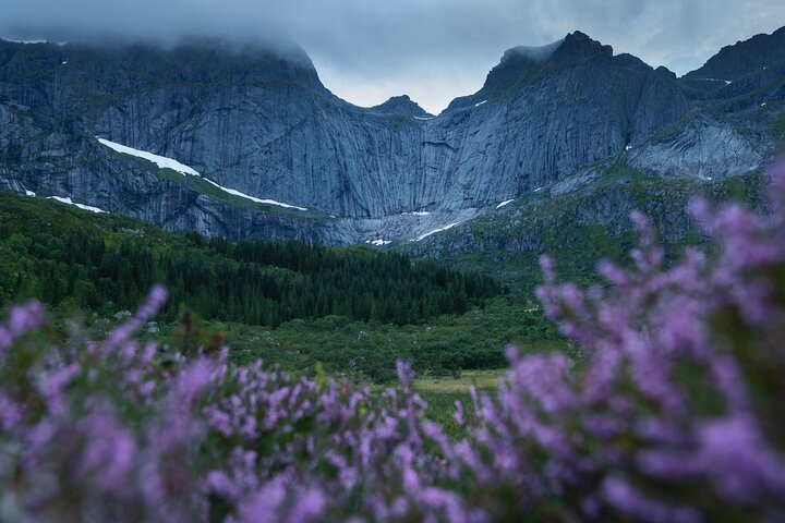 Private Lofoten Islands Sightseeing Tour with Local Guide