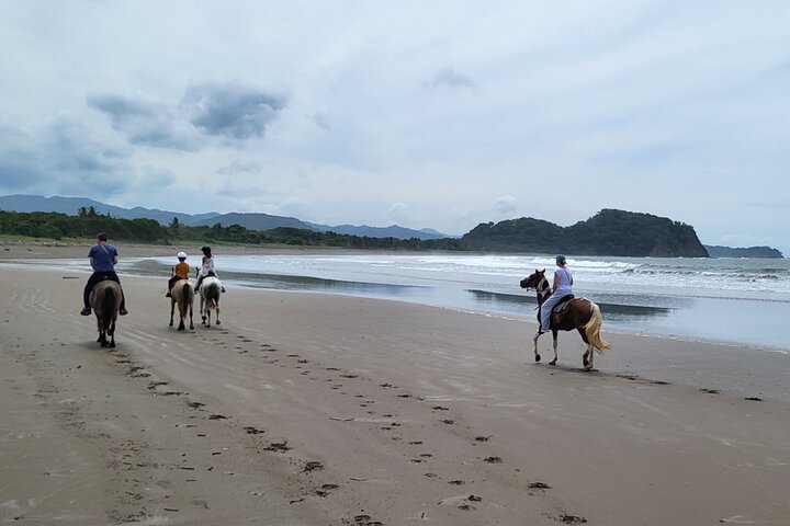 Jungle and Beach Horseback Riding Tour - 2H 1/2