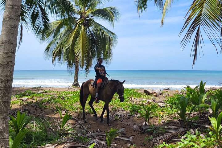 Jungle and Beach Horseback Riding Tour - 2H 1/2