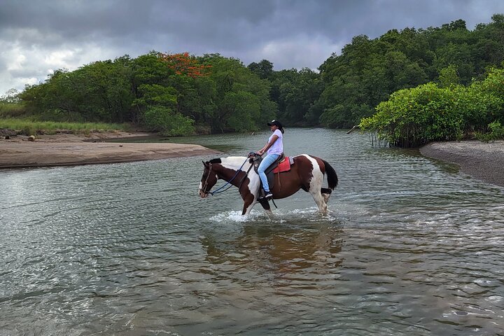 Jungle and Beach Horseback Riding Tour - 2H 1/2