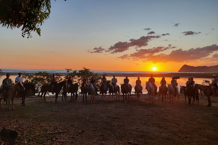 Jungle and Beach Horseback Riding Tour - 2H 1/2