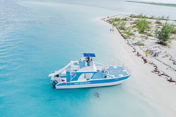 Noahs Ark Catamaran Trip